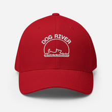 Load image into Gallery viewer, Dog River River Dogs Baseball Hat